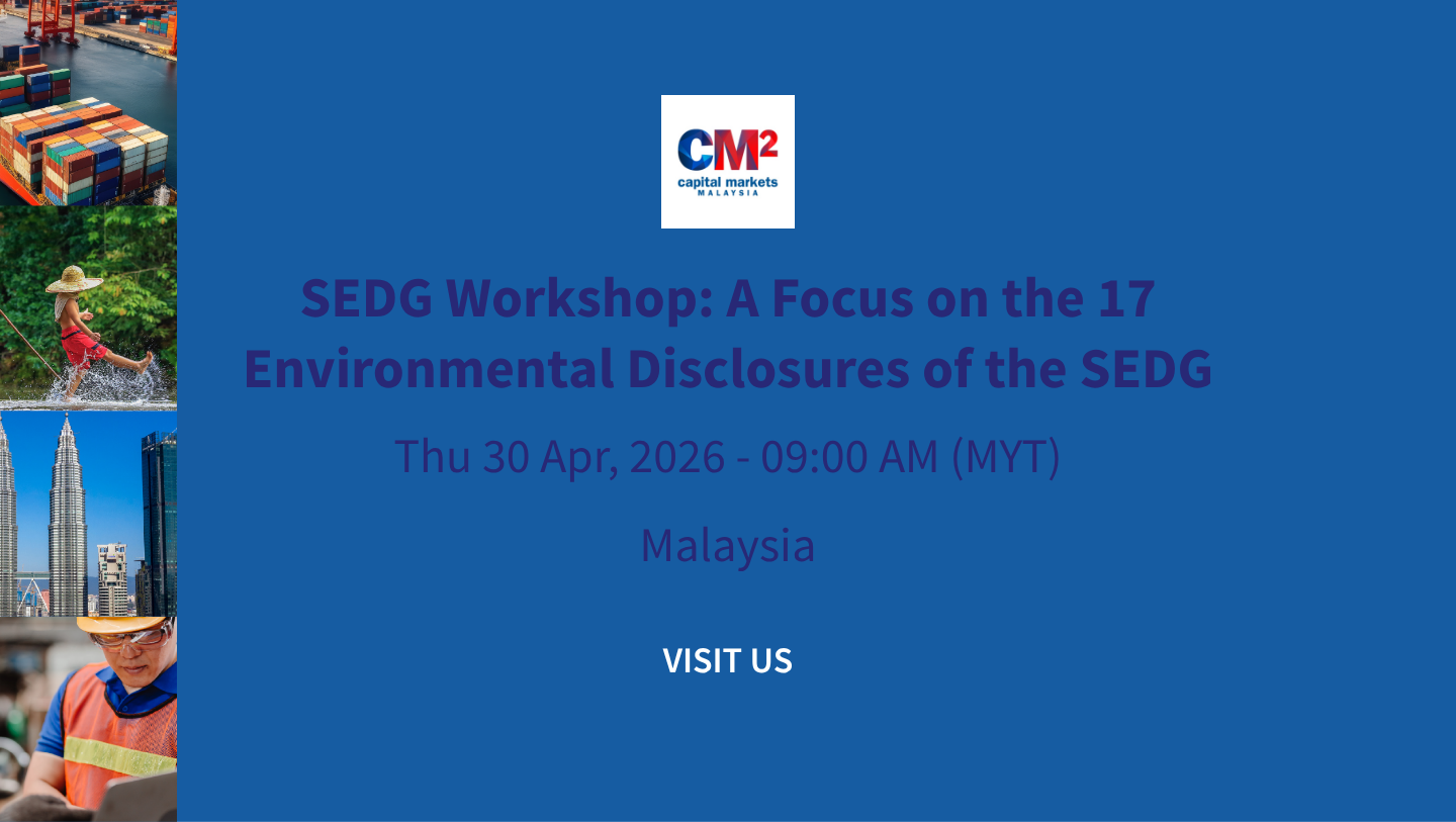 SEDG Workshop: A Focus on the 17 Environmental Disclosures of the SEDG